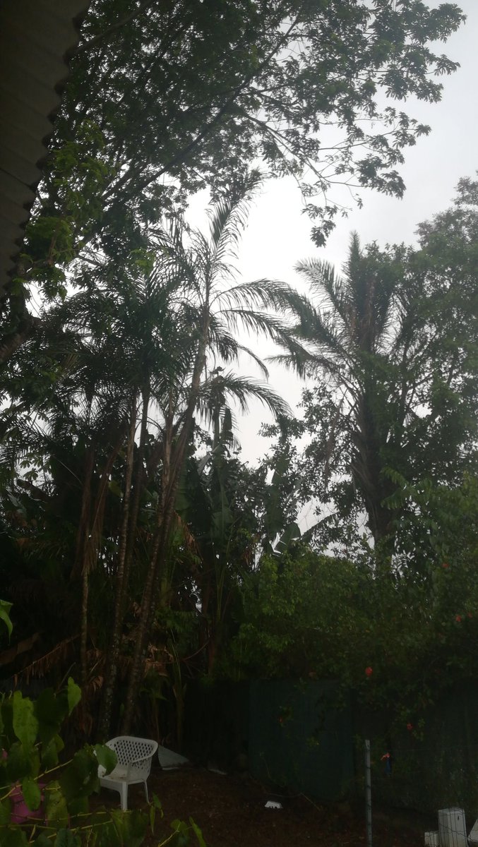Quand un "il pleut" résume toutes les promesses de demain et en porte tous les espoirs. La pluie est le battement de cœur du ciel. 

#UneAmazonienneSousLaPluie #Cayenne #Guyane #Amazonie