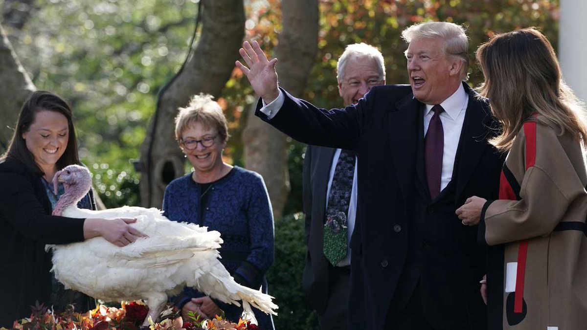 After pardoning turkeys, Trump arrives at 'winter White House' for Thanksgiving bit.ly/2Kso6Ax?utm_so… https://t.co/jnp7NFljJP