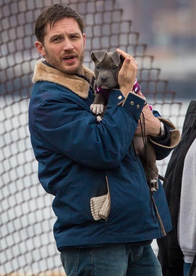 kyIerayner's tweet image. i’m so glad that i keep finding “new” photos of this movie because, no matter how bad my day gets, there’s somewhere out there a photo of tom hardy holding a puppy that i haven’t seen yet so i have to keep going, and i think that’s beautiful