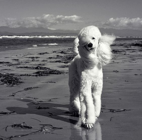 Reynold Starnes tweet media