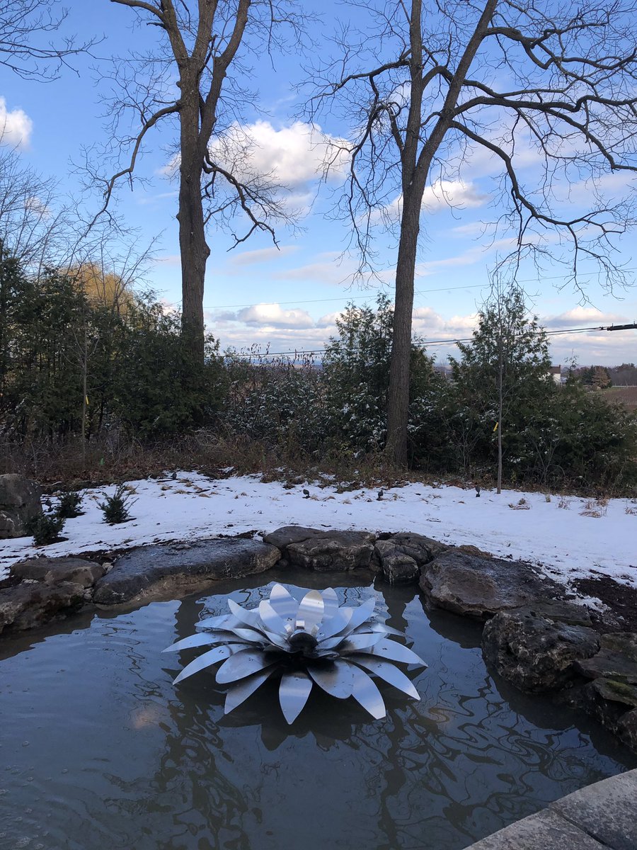 SteelCityPalms's tweet photo. We’re always so fortunate to be part of amazing projects...there were so many wow factors incorporated into this one. Today we were thrilled to introduce our latest custom creation to our clients - the #steellotus! #landscapedesign #reflectionpond  #steelart https://t.co/01J1CCon0W
