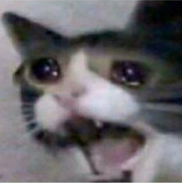 heavenbrat's tweet photo. why did god make me such a fucking CRY baby PLEASE im tired of being so sensitive ive had it https://t.co/bbTR0Q0Zv3