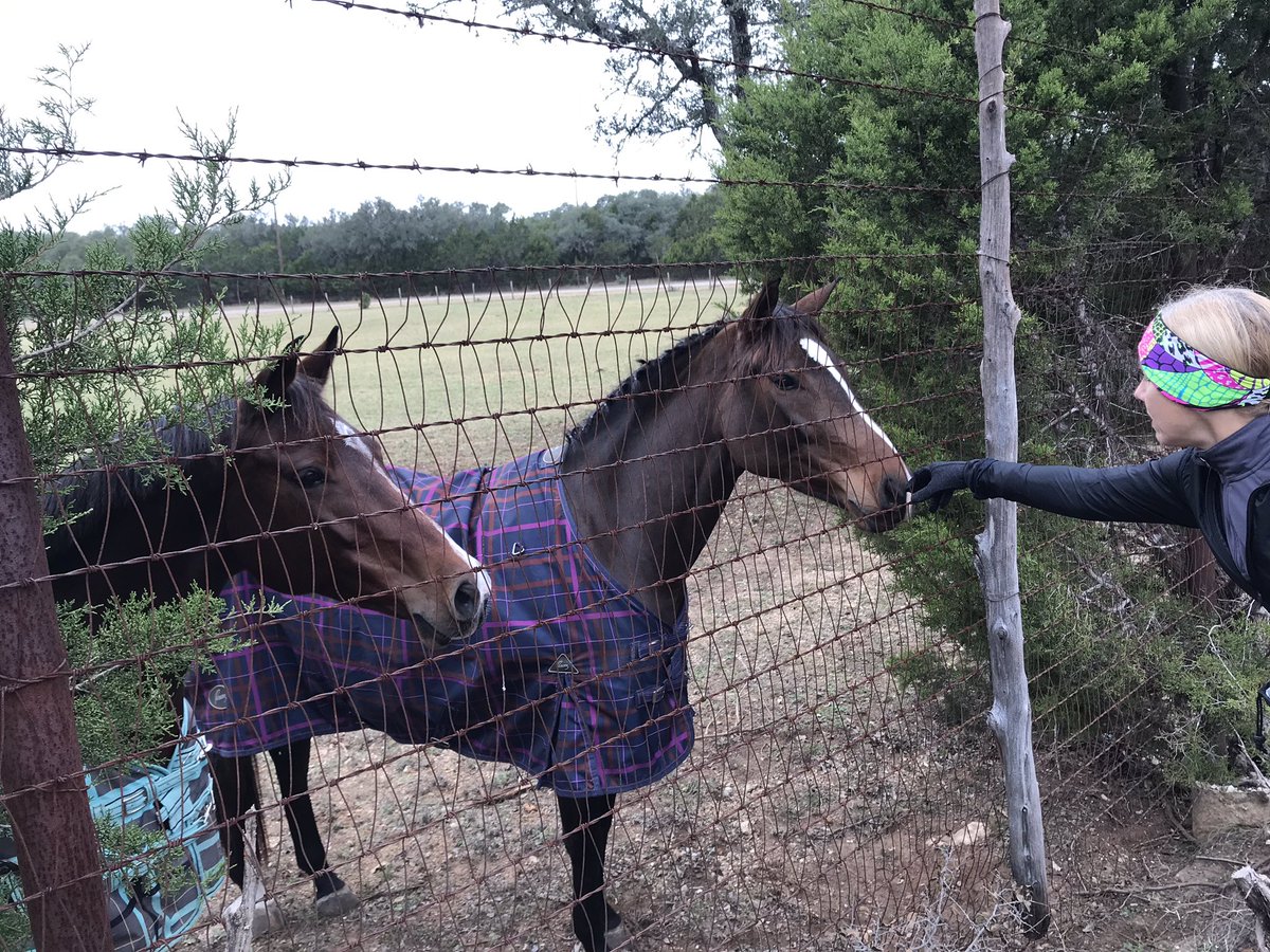 hammondtracie1's tweet photo. Take time to pet the horses while escaping Zombies!!! #OutbreakChallenge @RCES_Office @RCESNurse @ComalFIT @Supt_comalisd https://t.co/c0yNVel1t0