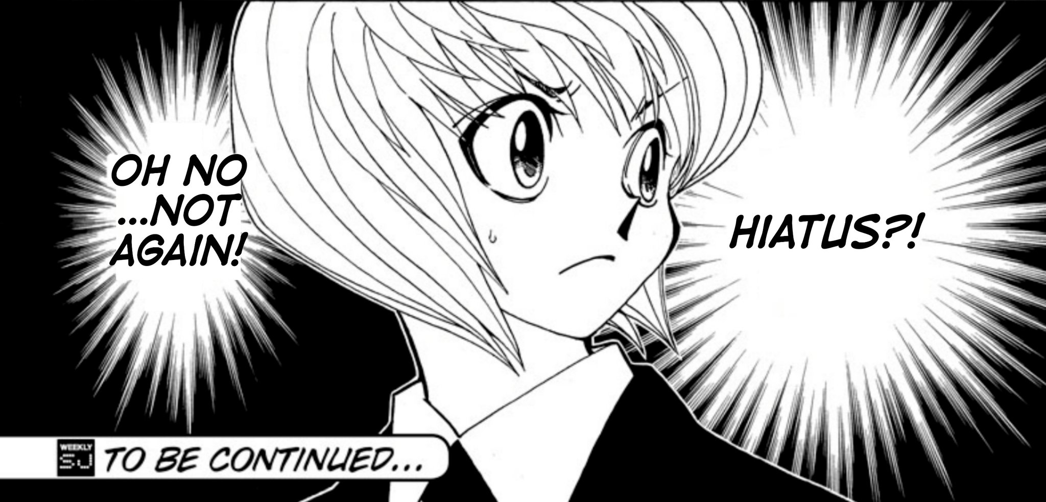HUNTER x HUNTER' Manga on Hiatus Once Again