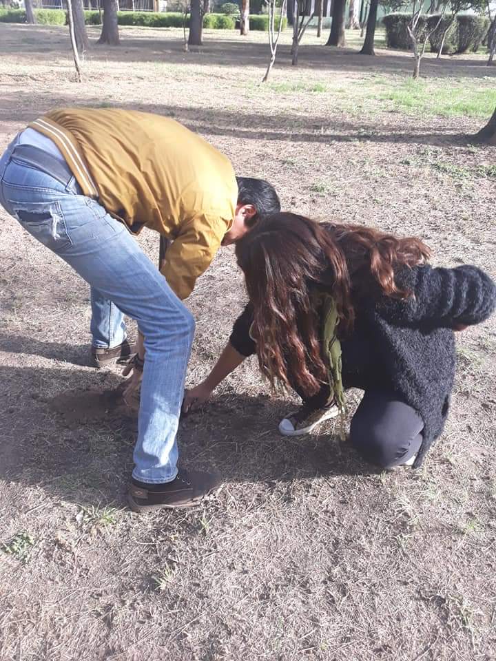 joven_union's tweet photo. El fin de semana plantamos árboles en la zona de Jardines de #Durango para ayudar al medio ambiente.

#LosJóvenesPodemos ayudar 🌱🌎 https://t.co/lmINbJXZ3m