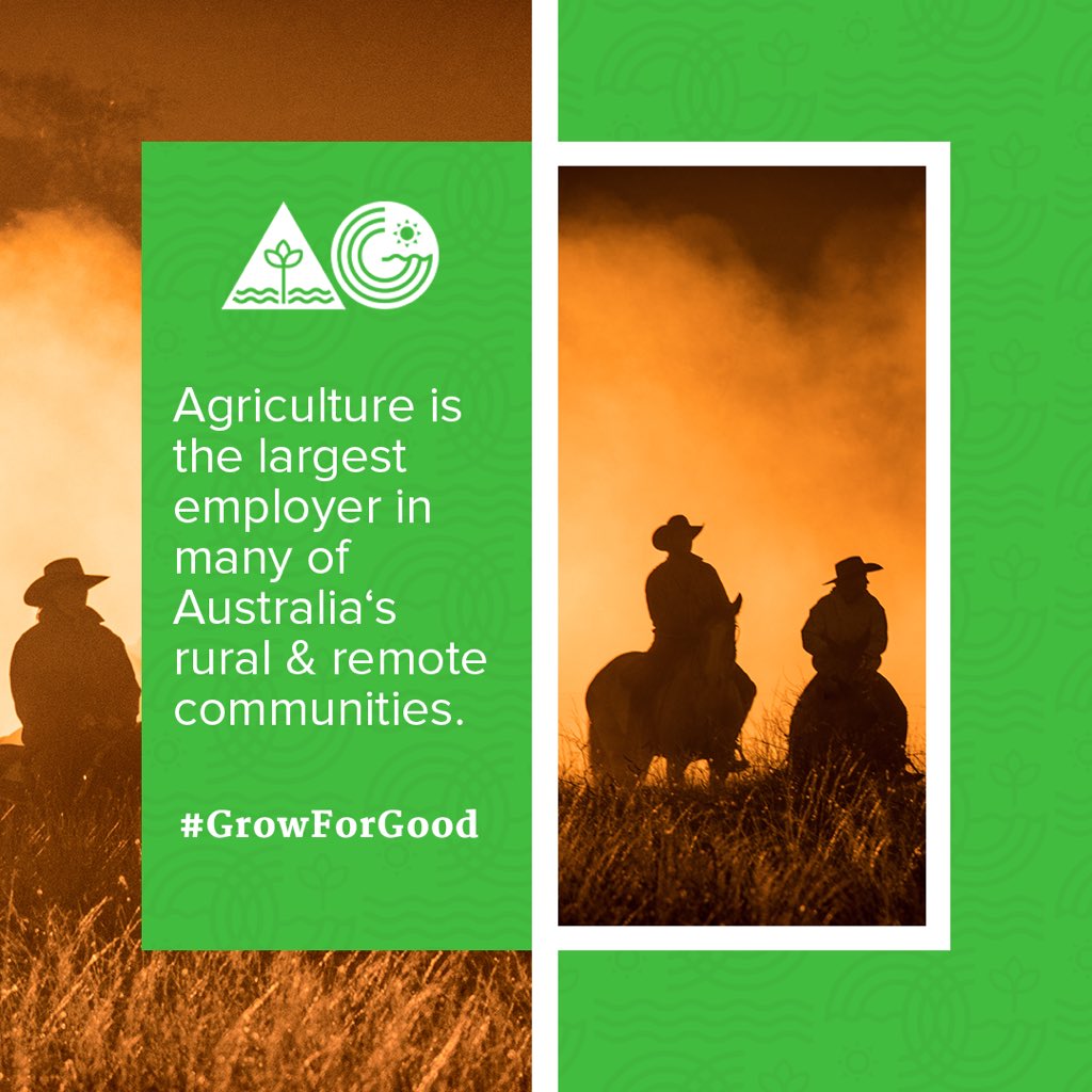 Diana Whiteman tweet media