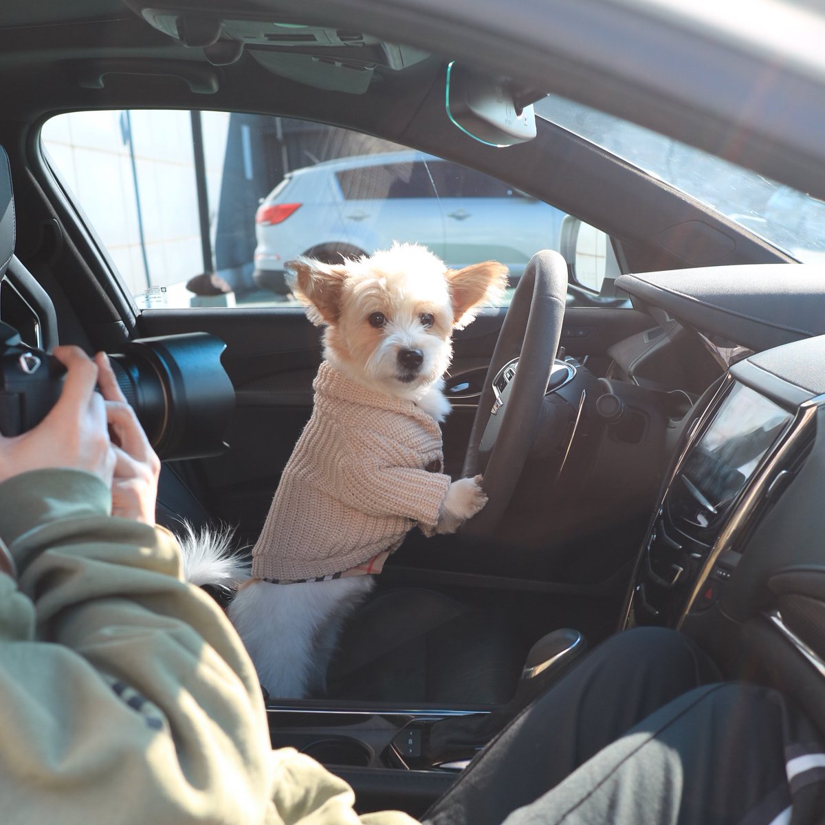 언니 옆에 탈 멈머들 줄서라