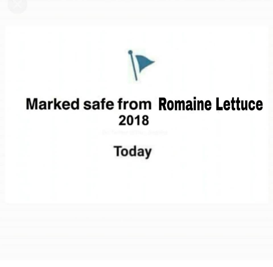 algattullo's tweet photo. Damn #Ecoli morons! #RomaineLettuceOutbreak I ate Brisket tonight. #BBQRULES https://t.co/MFxnvtN1tI