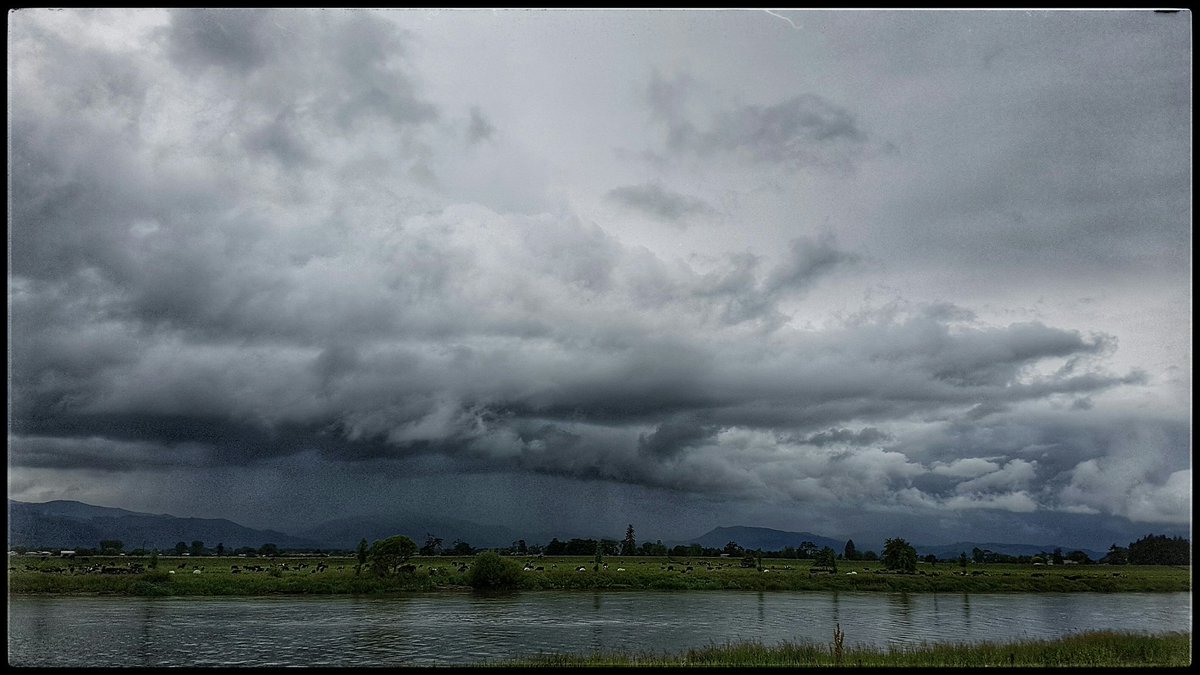 hottriggered's tweet photo. Cooks Clouds
Couple of Hundy years later.
Downstream of where Cook landed on the Waihou River
Storm cell passing through Karangahake.
About 1130 hrs this morning.
@WeatherWatchNZ
#Turua
#Hauraki #Waikato
#New_Zealand
(C)hottriggeredkiwi https://t.co/bfJKoT4FXh