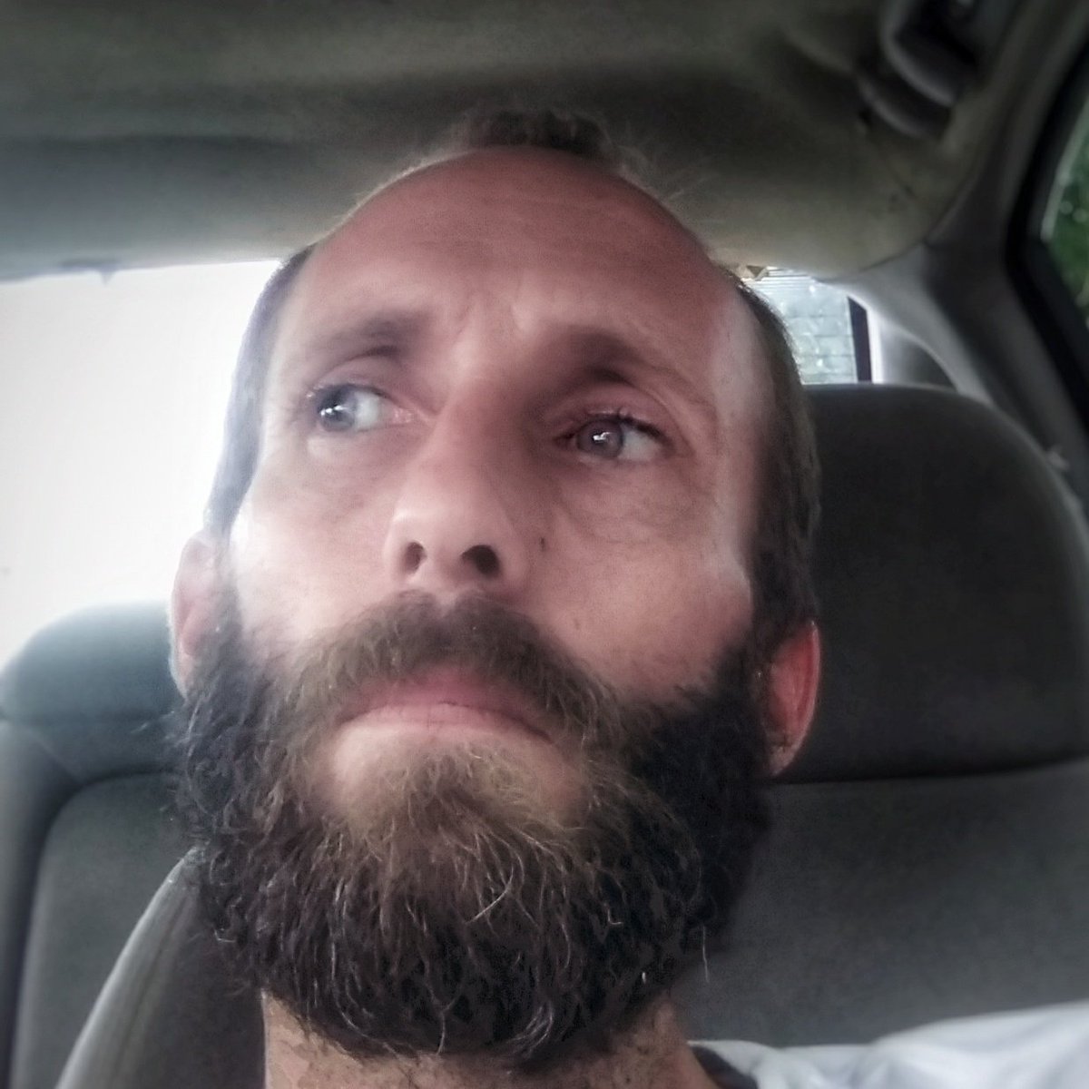 flpainter69's tweet image. #NewProfilePic