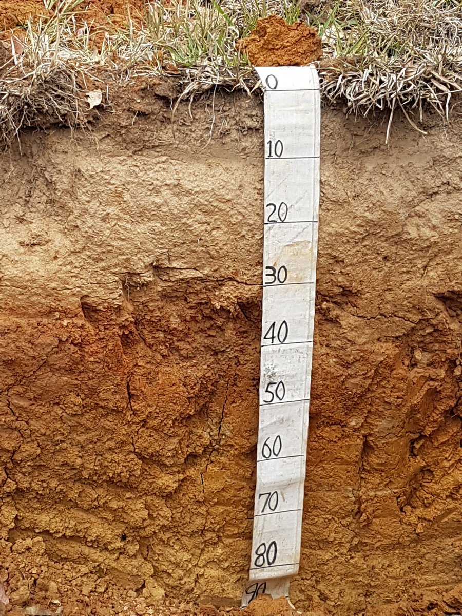 DrVanessaWong's tweet photo. On to the fun stuff - soil pits and vineyards on the winery trip at the  @SoilScienceAust #nationalsoils2018 conference
#clonakilla #soil #terroir https://t.co/nMDUL1xA7f