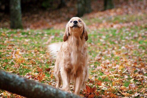 SStandardCo's tweet photo. When you realize it’s almost Thanksgiving... https://t.co/CHENj1GBkJ