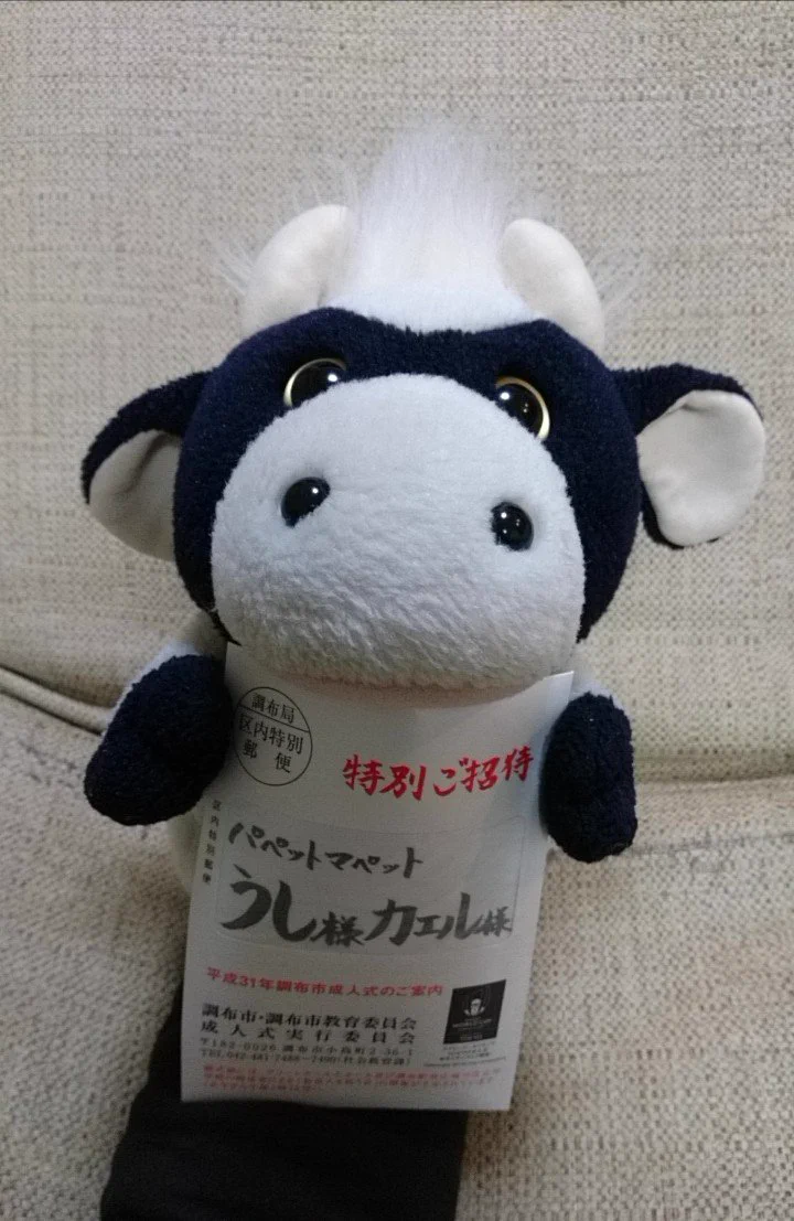 うしくんとカエルくんに成人式の招待状が届いた！！調布市の粋な計らい！！