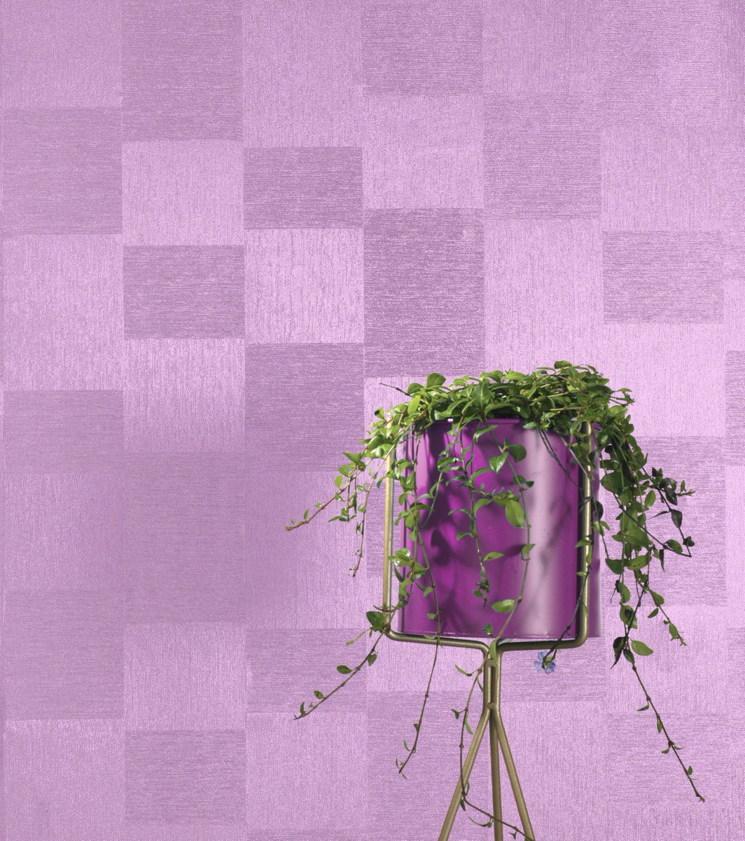 view mathematical reasoning writing and