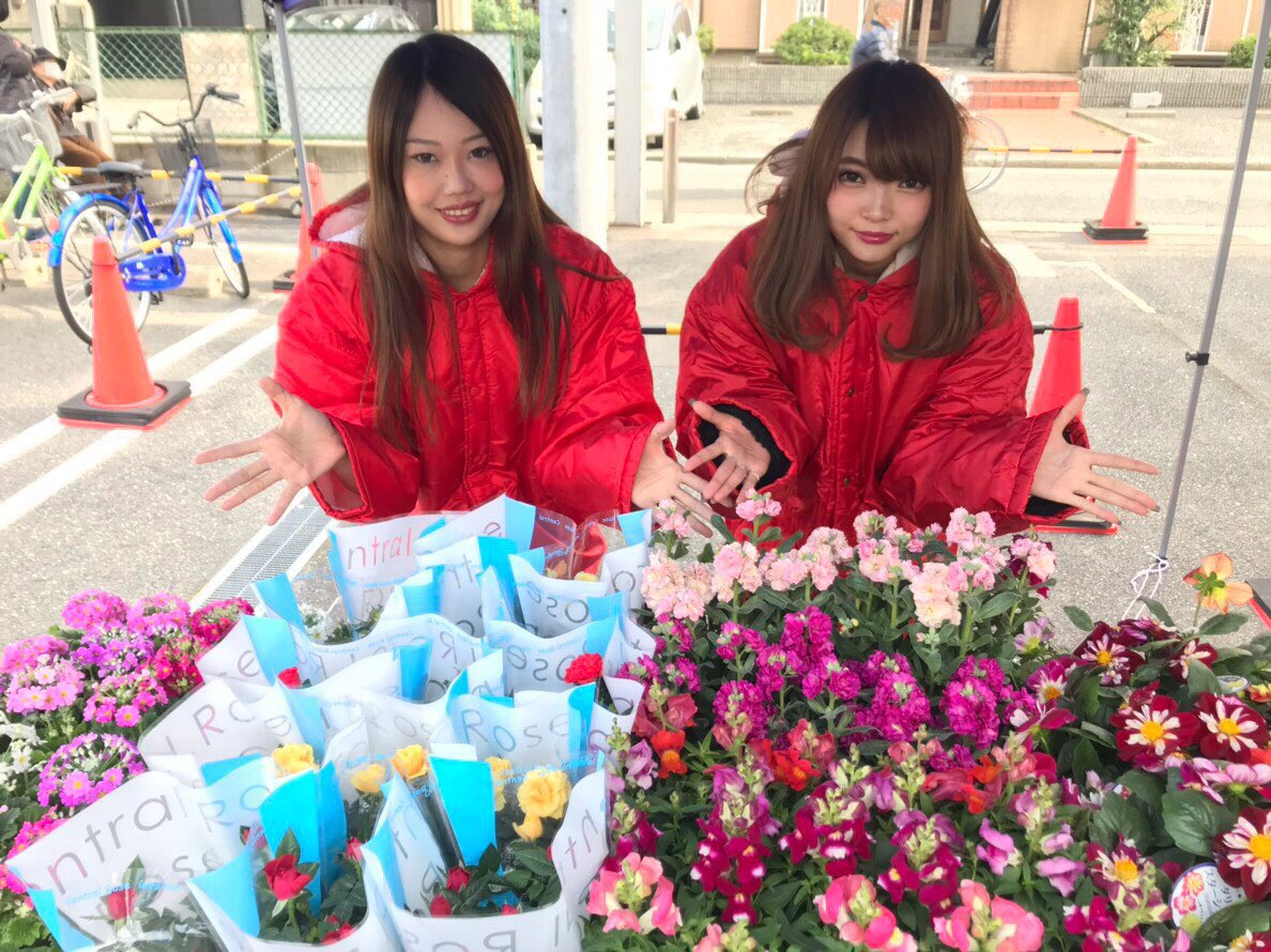 エムズガール Ms Girl Twitter