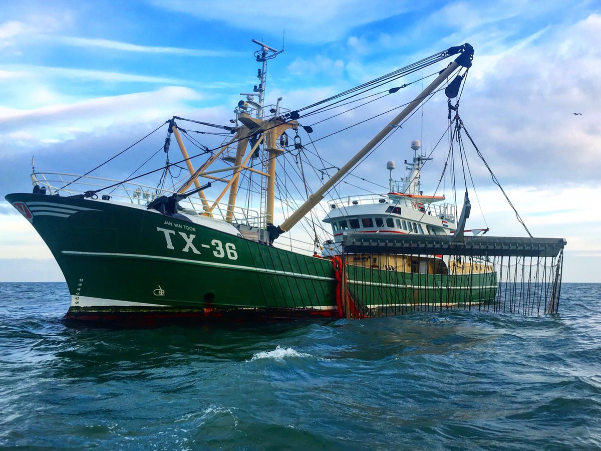 Vissersbond's tweet photo. Trots op alle vissermannen die elke week met hun gedrevenheid en passie het weer, de wind en de zee trotseren voor de verse vis op uw bord. #WorldFisheriesDay #BedanktVissers #Trots https://t.co/FomezHLmXl