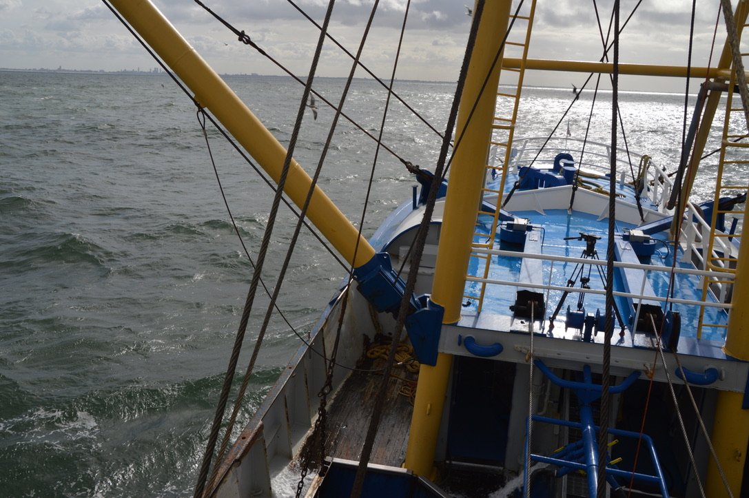 Vissersbond's tweet photo. Trots op alle vissermannen die elke week met hun gedrevenheid en passie het weer, de wind en de zee trotseren voor de verse vis op uw bord. #WorldFisheriesDay #BedanktVissers #Trots https://t.co/FomezHLmXl