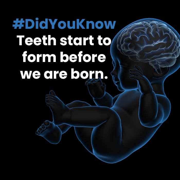 Some babies are even born with teeth already poking through! If you're at all concerned about your baby's teeth eruption, come and see us! #didyouknow
