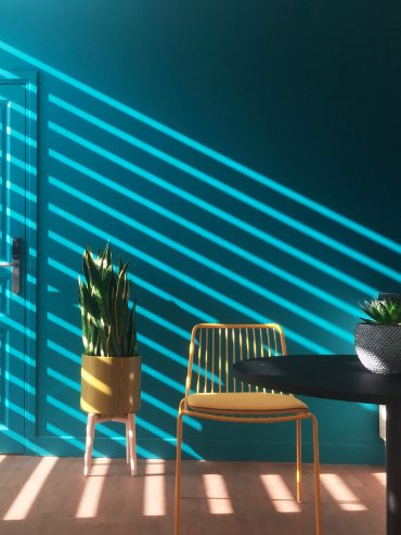 Merci_Raymond's tweet photo. Le bien-être sur l'espace de travail passe aussi par le végétal🌿Notre partenariat avec @Nextdoor_fr dans @LADN_EU https://t.co/x9Ylfjei5g #coworking #startup #innovation #vegetal #bienetre #merciraymond #nextdoor #Ecologie #workoffice #green #workimmo https://t.co/qW7THxgcT0