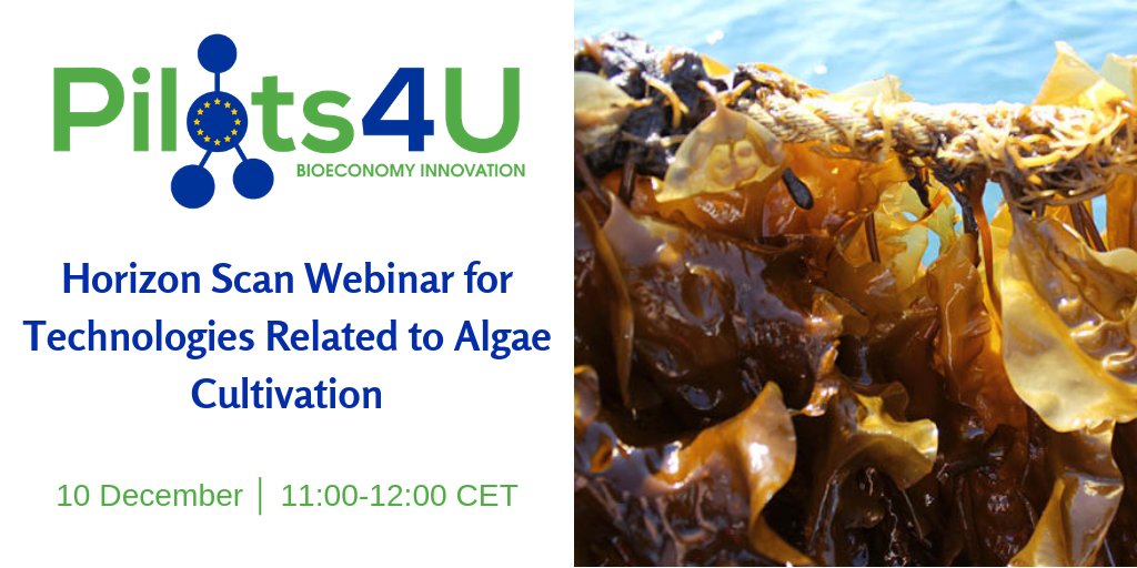 BioPilots4U's tweet photo. The #Pilots4U project is organising a webinar on 10 December at 11-12 CET to discuss potential gaps in open access pilot and demo infrastructures in the field of #algae cultivation in #Europe 💦

Register now and join the discussion ➡️ https://t.co/GzRi024XIp https://t.co/vkJ02hEeOP