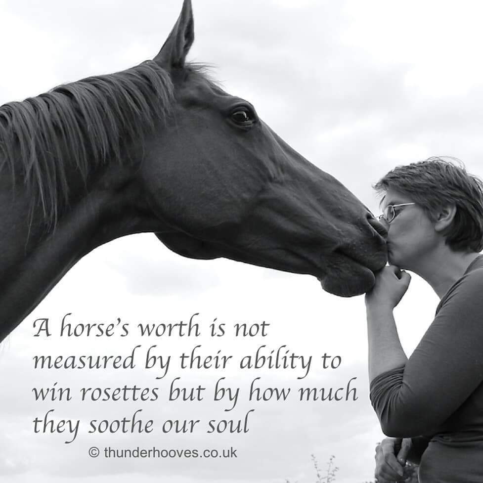 We LOVE this! There's no one that truely understands what 1 horse can do for 1 person #equestrian #EquineHour #equine #horselover #HorseChatHour #horses #horseaddict #horsetherapy #mindfullness