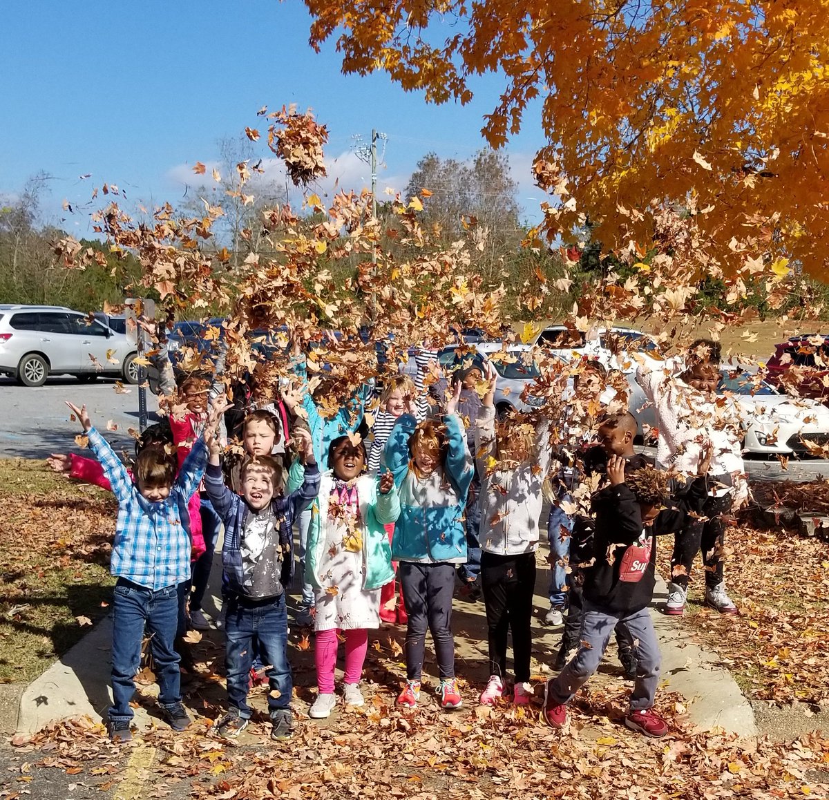 ChristaleTuck's tweet photo. Leaf fun on this beautiful day!!🌳🍁🍂 https://t.co/JP5SlWEQyG