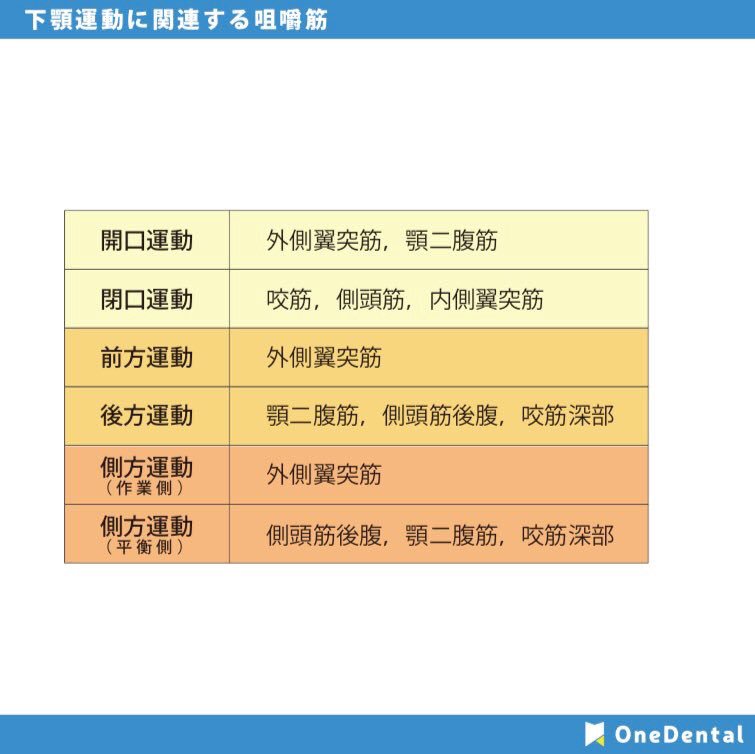 1d歯科医師国家試験 Twitterren 下顎運動に関連する咀嚼筋 忘れてませんか Https T Co Mp08doczbs Twitter