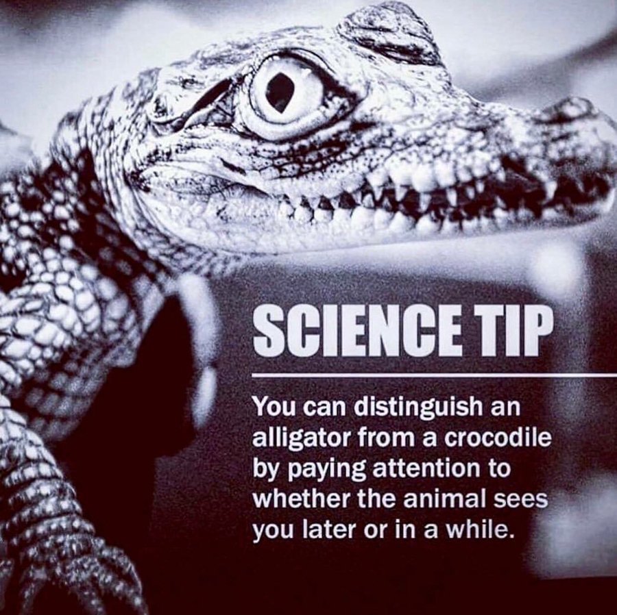 MagicJay_'s tweet image. Did you know.....
#magician