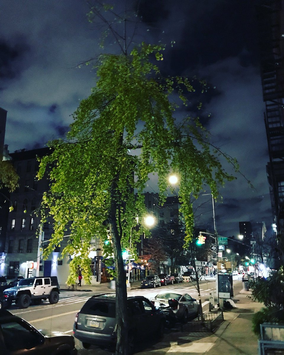 chrisalanjones's tweet photo. Spooky clouds over Avenue C
.
.
#avenuec #spookyclouds #spooky #eastvillage #alphabetcity #manhattan #newyork #newyorkcity https://t.co/8VzgWa3h5i