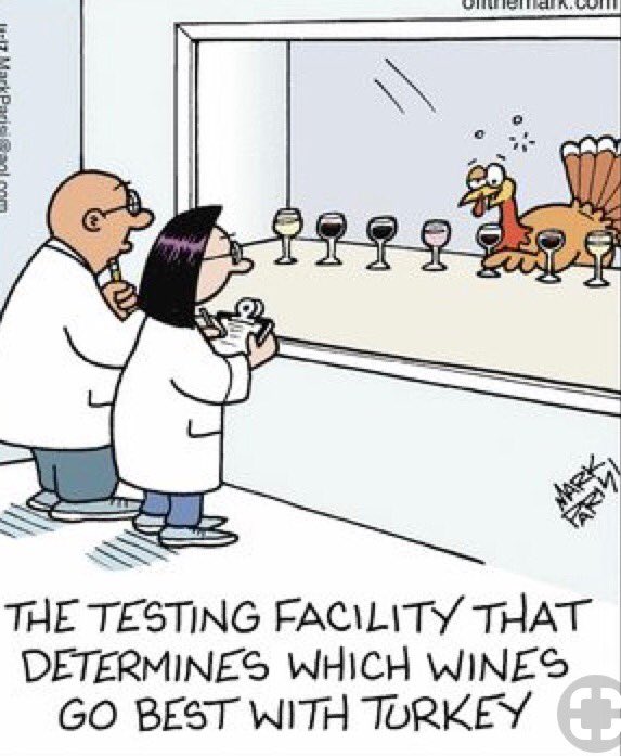 This turkey is doing Thanks Giving, right! #wine