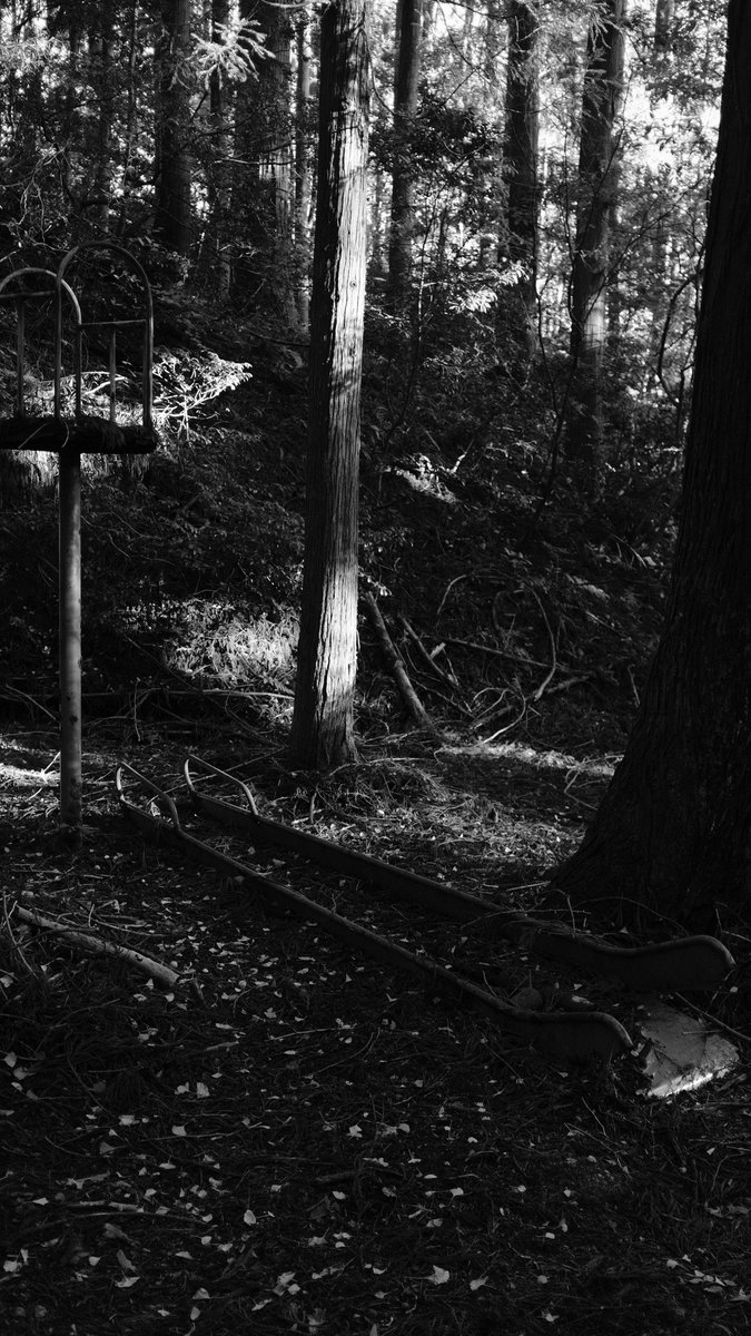 z34_xj's tweet photo. X100f https://t.co/sXjvGrdDfO