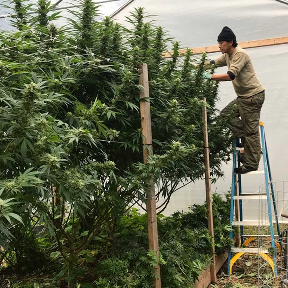 High95Cup's tweet photo. Climbing to new heights - Alight Farms - Vote for your favorite photo contest entries.  Winner will be announced on November 24th - https://t.co/kstvVT1v9A https://t.co/07ZWSWtOiM