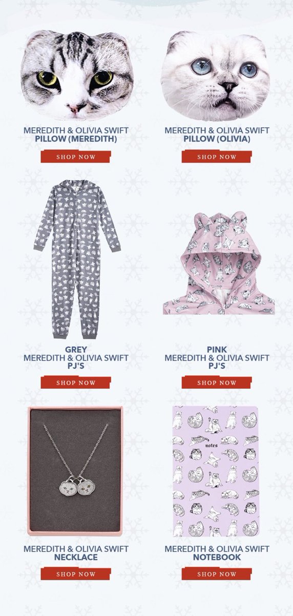 Every Piece of Taylor Swift Merch: Photo | Taylor swift merchandise, Taylor  swift, Taylor swift red