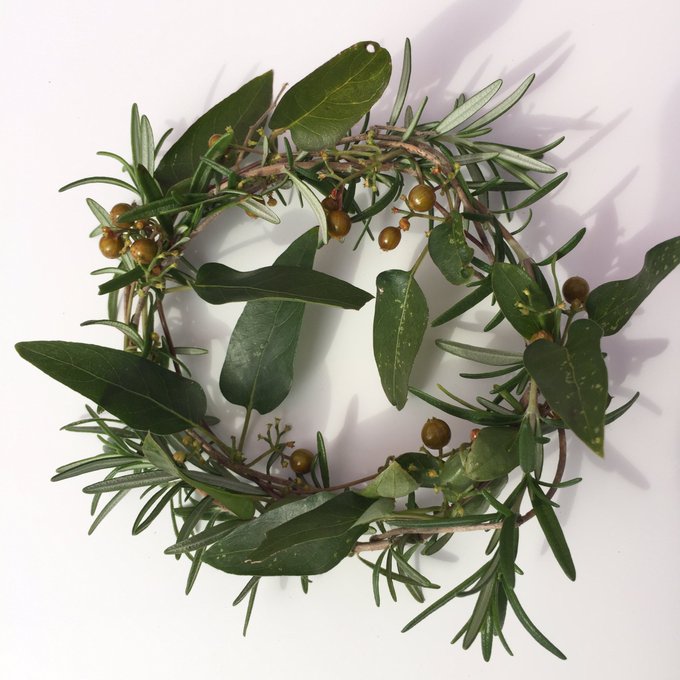 ローズマリーのtwitterイラスト検索結果 古い順