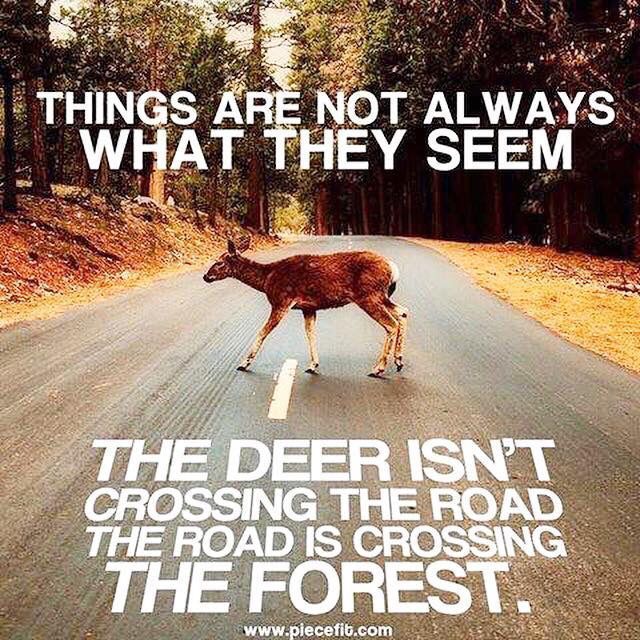 JennySelsby's tweet photo. Let nature be nature. Defend the sacred.

#NatureIsNature #KeepItWild #NoTMX https://t.co/lHSuoCFnvG #green #ecofriendly #environment