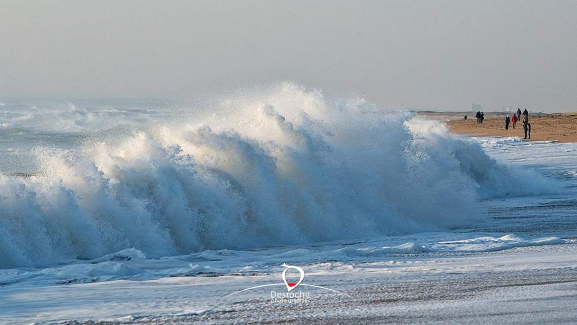 DesrochePhoto's tweet photo. Dépression de novembre... et grandes vagues
#PHOTOS #photographie #photo #photography #foto #Bretagne #BZH #Morbihan #Breizh #bzhPower #riadetel #ocean @MorbihanTourism @LorientAgglo @BreizhMagic @BreizhWeCan @Magnifique_FR @BreizhOfficiel @ClubPresseBZH https://t.co/ihAVRz1Gh2