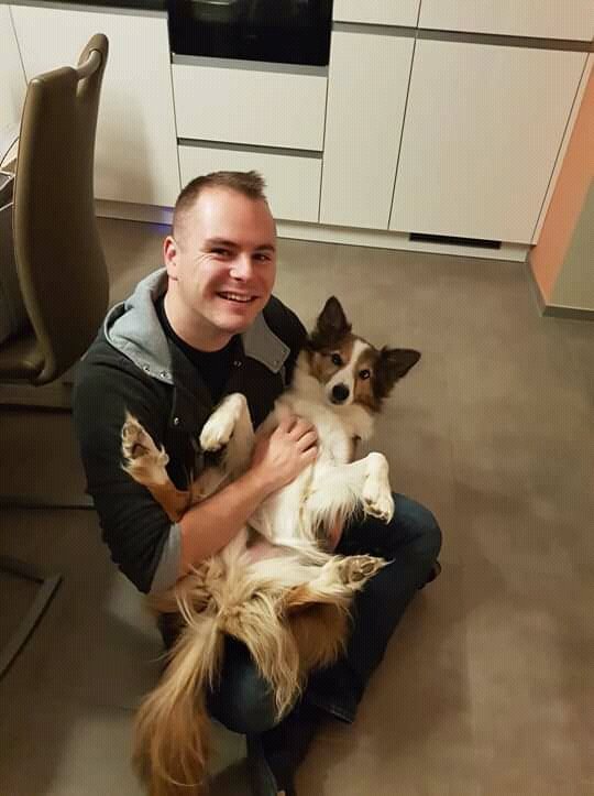 Mighty_Vids's tweet photo. I simply love this doggo https://t.co/oWy8nyJJtR