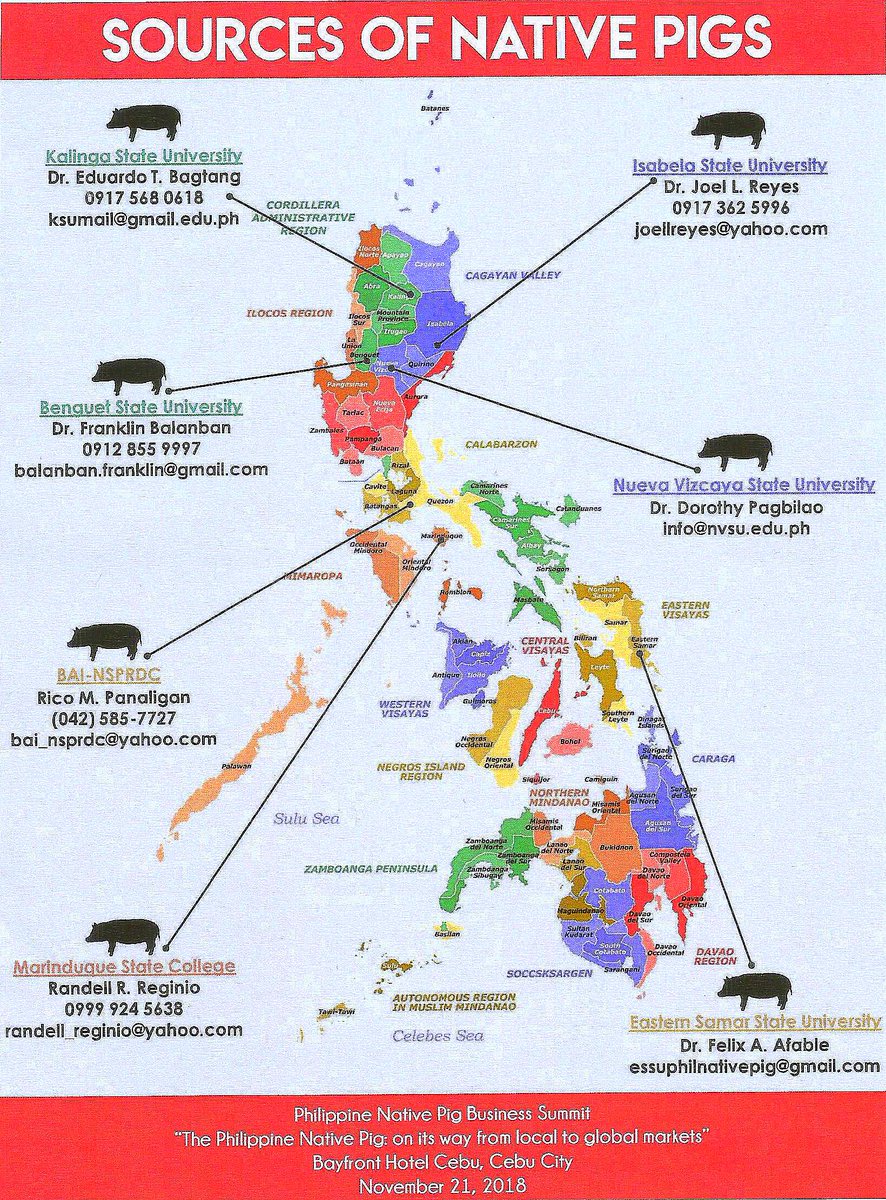 LRD_PCAARRD's tweet photo. Sources of Native Pigs #PhilNativePigBusinessSummit #PhilNativePigs https://t.co/znk2qNsbMM