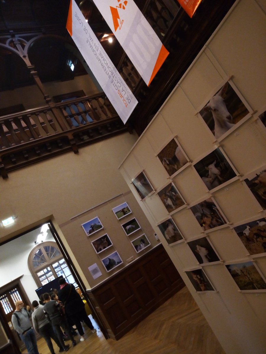 La semaine 'Histoires de Chèvres' à la Villa Rabelais est lancée depuis hier... Aujourd'hui, vendredi soir et samedi nous accueillons le public pour une initiation à la filière caprine et ses produits #tours #Touraine #chevre #laitdechevre #exposition #tourscitegastronomie