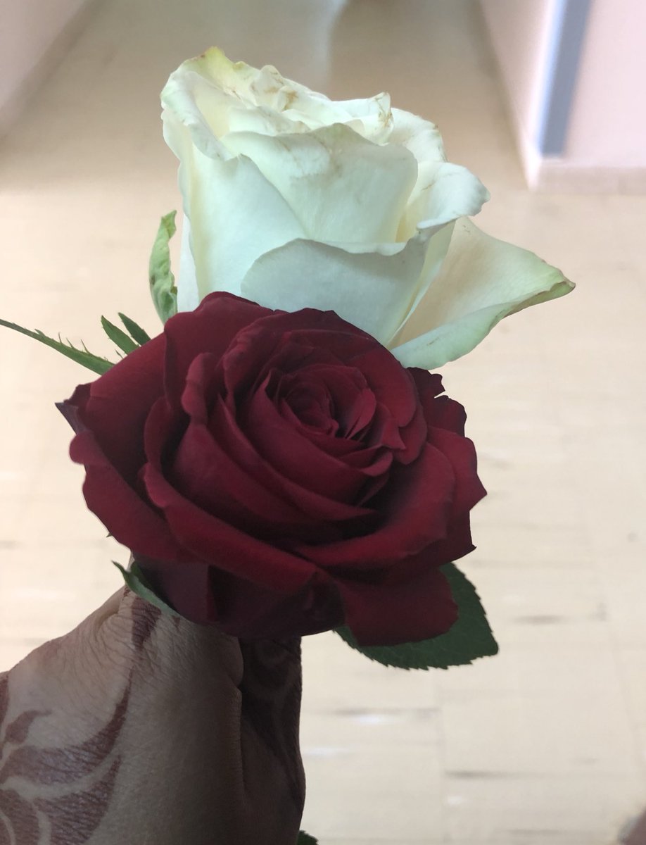 alfarsi2121's tweet photo. في زحام الحياه نحتاج ورده بلا سبب 🌹 https://t.co/VmN2Wp7dy3