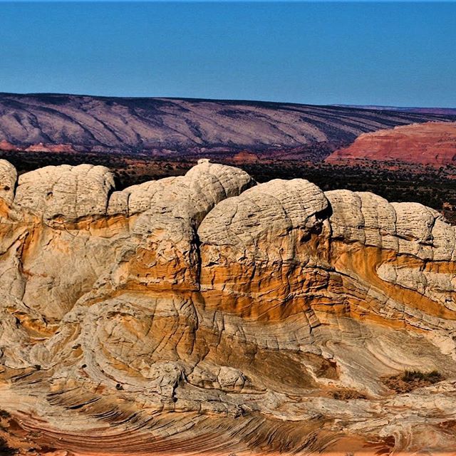 menuofmusings's tweet photo. Spent a wonderful weekend at Coyote Butte South and White Pocket. Both are a geological wonderland. #coyotebuttessouth #whitepocketarizona #hikearizona #explorearizona #travel https://t.co/EjIZZS5pc0