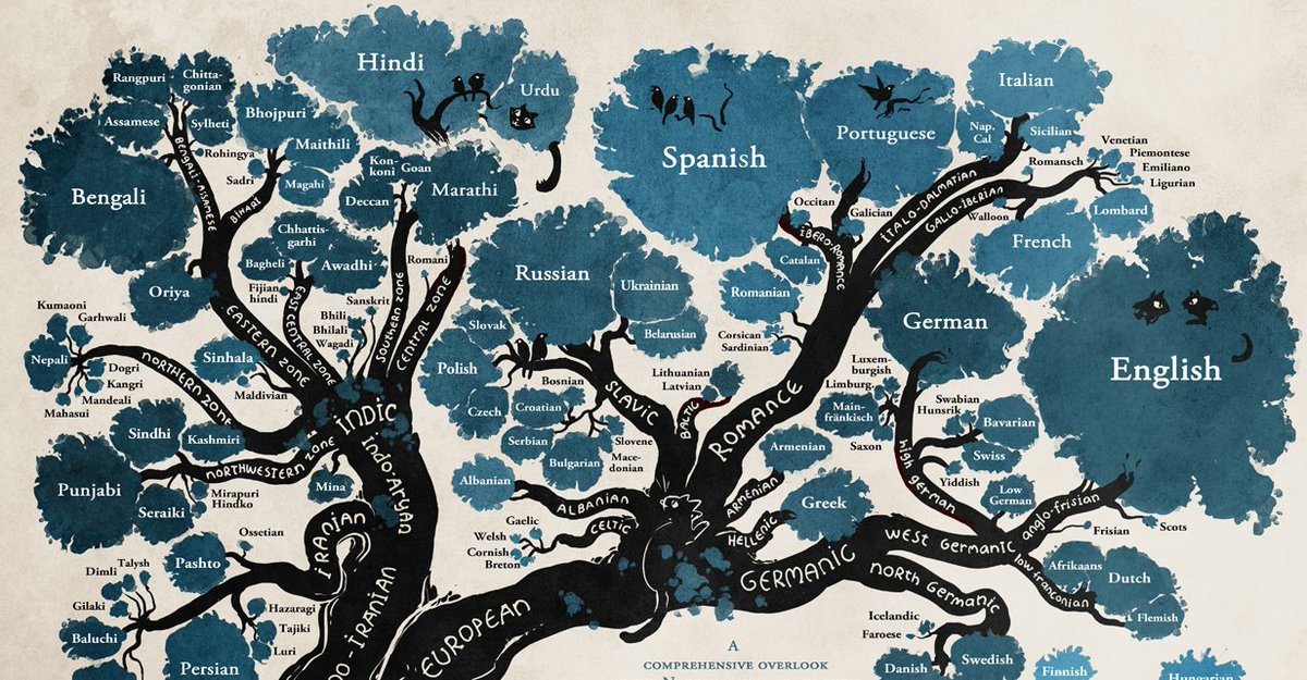 openculture's tweet image. The Tree of Languages Illustrated in a Big, Beautiful Infographic openculture.com/?p=108947