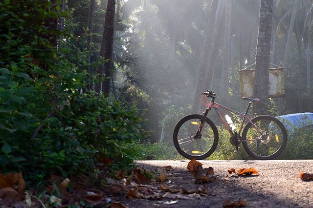 'In the right light, at the right time, everything is extraordinary'. #aaronrose

#cycling #villagelife #exploregoa #discovergoa #light #shadow #sunlight #trees
#regram @plasmadroid_hardik