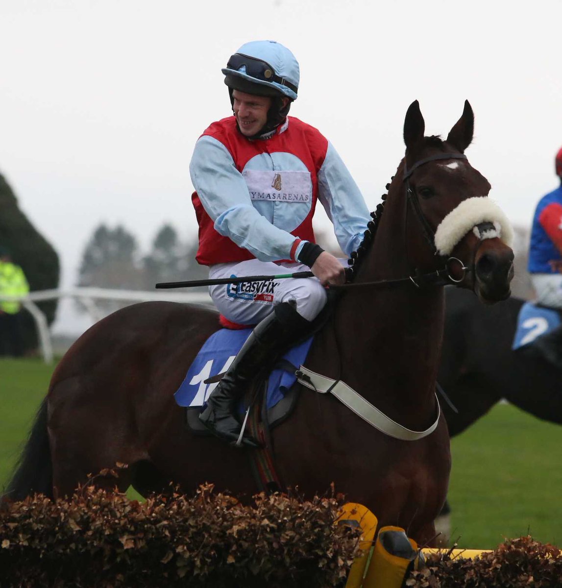 MHammondRacing's tweet photo. The team head to Hexham with 6 today Enfin Phil, Nineothree, Wishing Well, Tickenwolfe, Mac Cennitig and The Pine Martin  #Mac #Ticken #WishingWell #Nineothree (Pictured) #staysafe https://t.co/2dRmWCOrUg