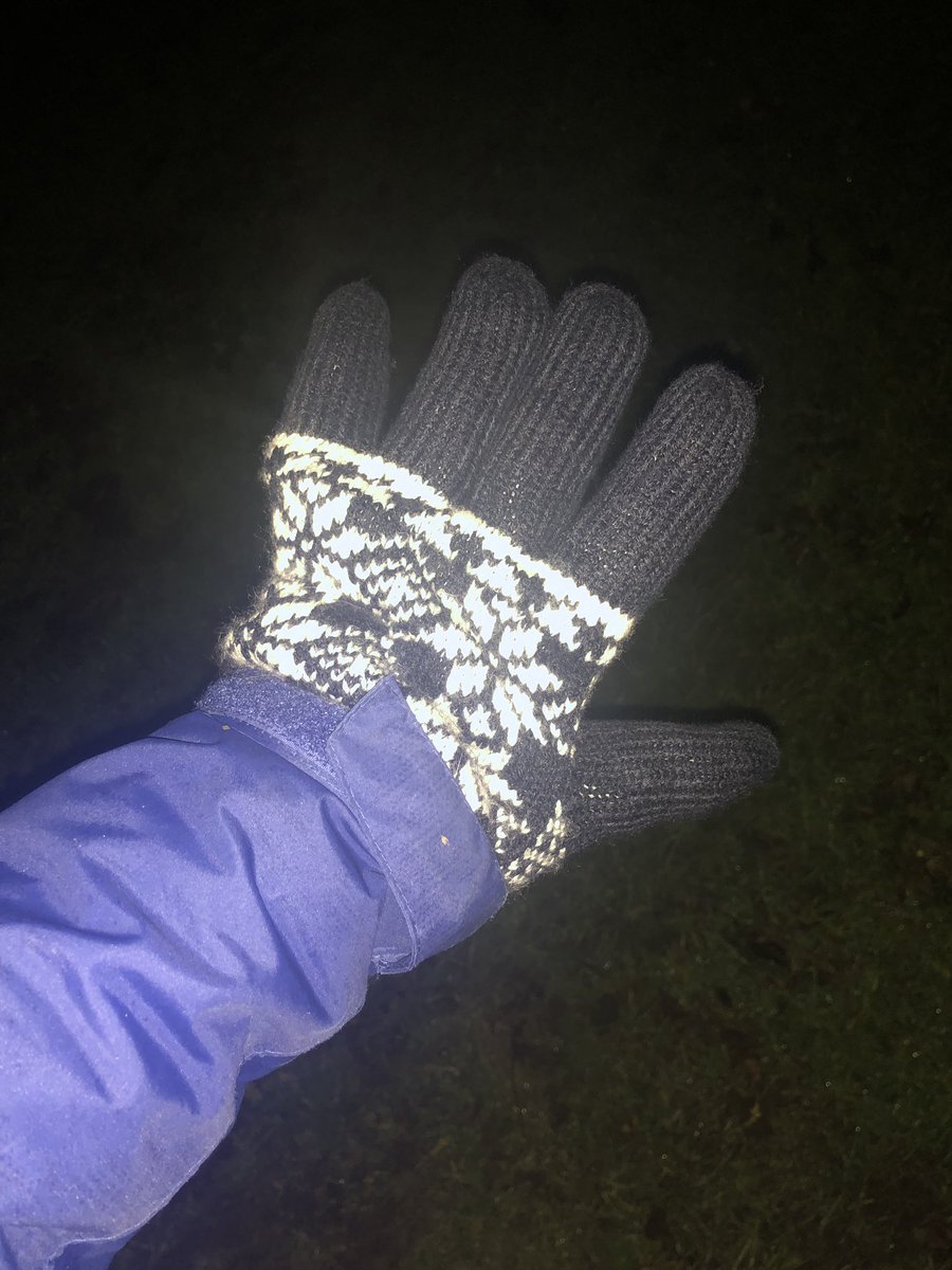 salliedukes78's tweet photo. I borrowed Mr D’s gloves this morning! Check out my #hulkhand I was very toastie but useless!! #timetodigmyglovesout 🧤 https://t.co/msLDRCy9sH