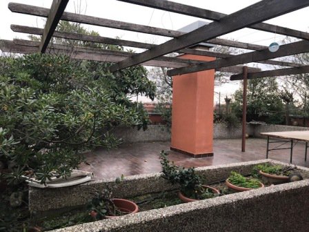 ProgettoCasaMi2's tweet photo. VENDITA - Attico - MILANO DUE-Libero subito, da vedere !! € 940.000
https://t.co/Ubr9uTMYRn #forsale #Milano #Immobile #realesate #casa #attico #vendita #immobiliare #segrate #casa https://t.co/rGwwZZYBGP