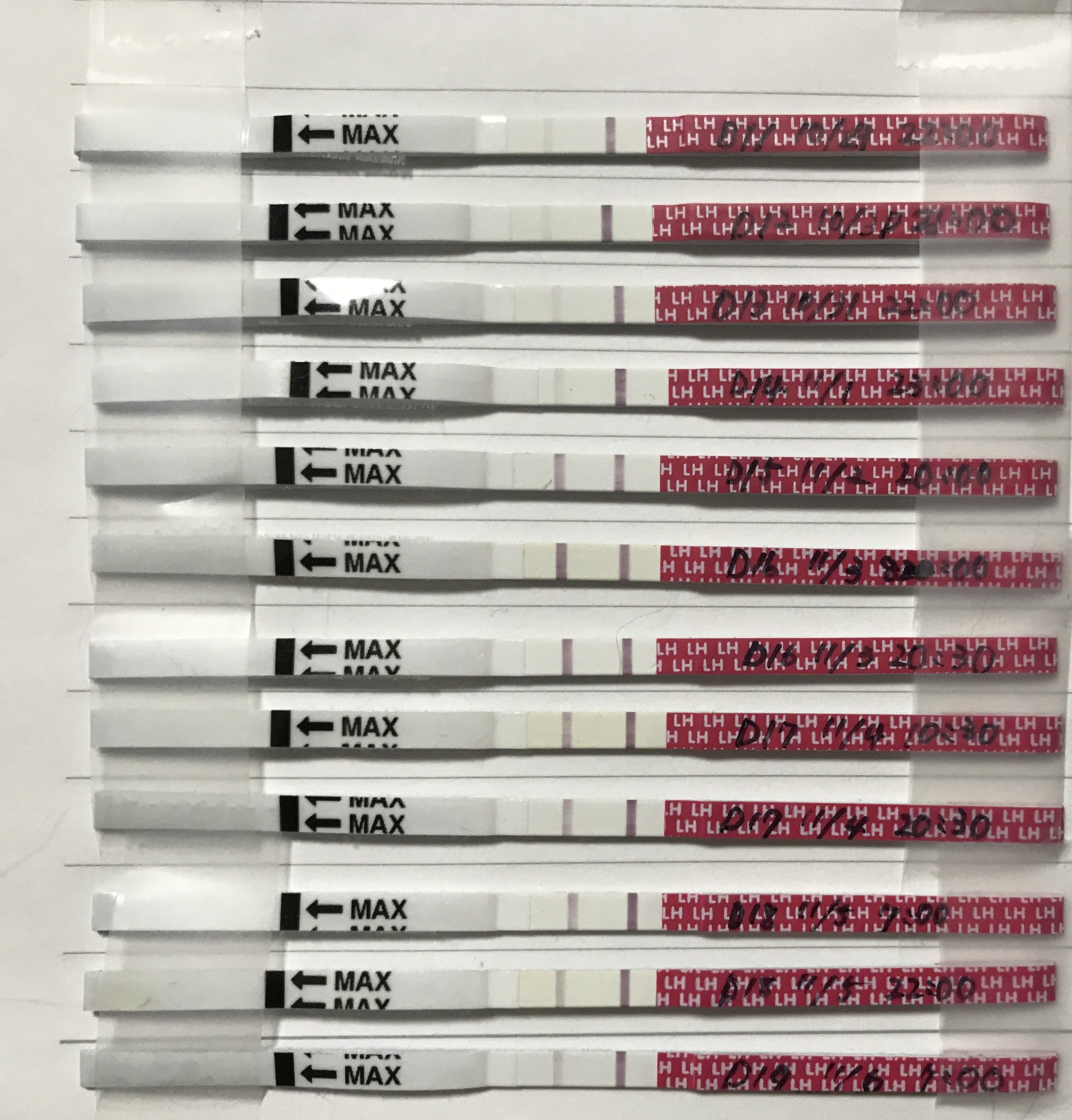 排卵検査薬 妊娠検査薬通販 ラッキーテスト Jp ラッキーテスト排卵検査薬の陽性反応データをアップしました 結果判定に参考してくださいね 陽性反応日は排卵日1 2日前です 陽性反応が確認されましたら お早めにタイミングをとってください 排卵