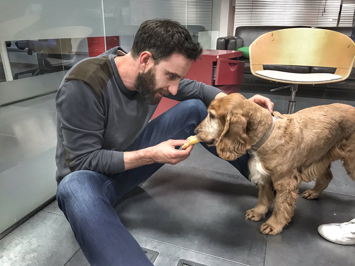 Dani Rovira (@danirovira) on Twitter photo Suerte Bimbo. Ojalá pronto encuentres un hogar digno.
Gracias <a href="/El_Hormiguero/">El Hormiguero</a> por seguir apostando por esta sección. 🐶
parn.adopciones@gmail.com
#Tudela Suerte Bimbo. Ojalá pronto encuentres un hogar digno.
Gracias <a href="/El_Hormiguero/">El Hormiguero</a> por seguir apostando por esta sección. 🐶
parn.adopciones@gmail.com
#Tudela