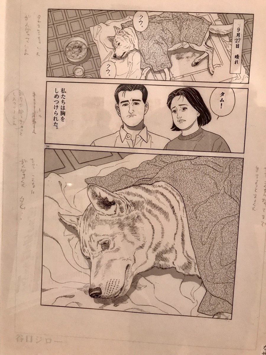 写真OKだったので… 