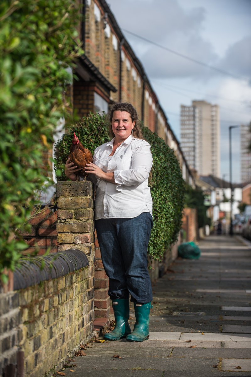 We love keeping chickens in London and know that there are loads of others keeping back yard hens in built up areas... I'm searching out some City Chicks, please pass it on!